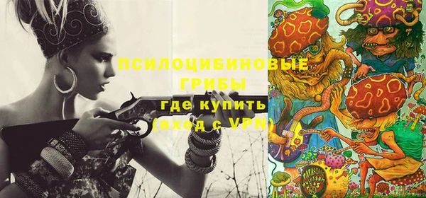 СК Нефтекумск