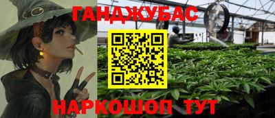 бошки Гай