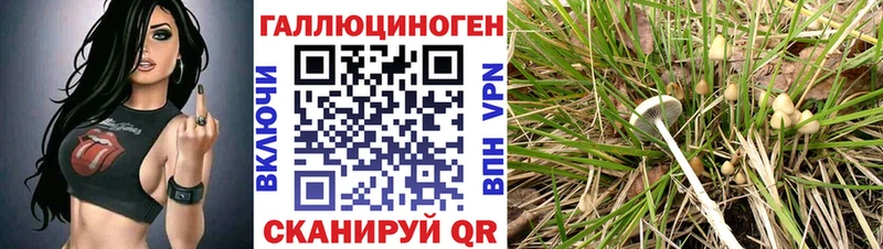 Галлюциногенные грибы прущие грибы  Сургут 