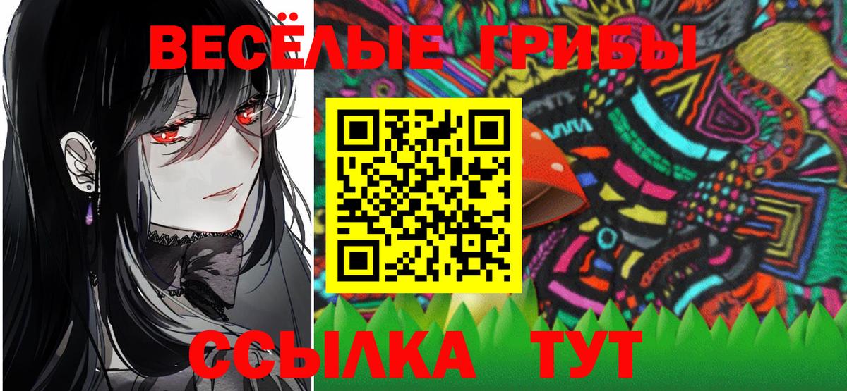 Псилоцибиновые грибы Psilocybine cubensis  Вход с VPN  Сургут  Псилоцибиновые грибы MAGIC MUSHROOMS 