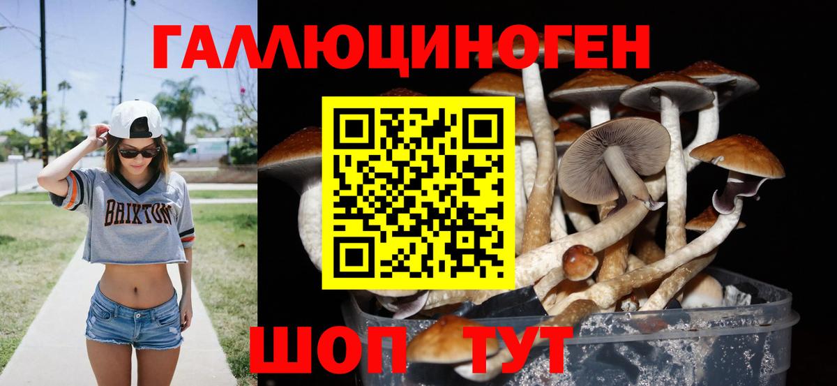 Псилоцибиновые грибы Cubensis Сургут